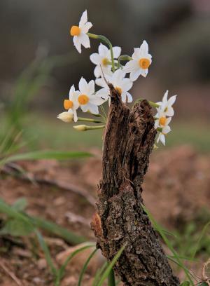 La Foto del Giorno (8 mar.)