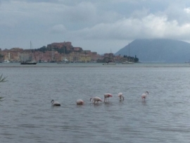 L'ambiente, oggi all'epoca del "Ministero della Transizione Ecologica"