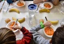 Marciana Marina: c'è tempo fino al 30 settembre per l'iscrizione al servizio refezione scolastica