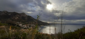 La Foto del Giorno (25 nov.)