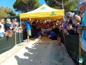 A Marina di Campo non si sono schiuse le uova di tartaruga marina
