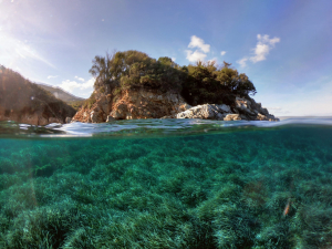 La Foto del Giorno (1° apr.)