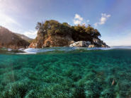 La Foto del Giorno (1° apr.)