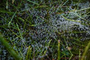 La Foto del Giorno (10 nov.)