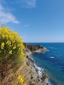 La Foto del Giorno (24 mag.)