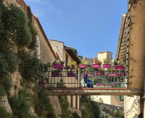 Passeggiata nei giardini nascosti: il volto segreto di Portoferraio