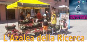 L’Azalea della Ricerca
