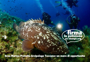 Il Governo accelera sul 30% di Aree Marine Protette. S&#039;avvicina la nostra