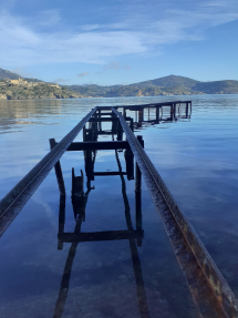 La Foto del Giorno (4 feb.)