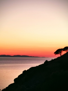 La Foto del Giorno (11 giu.)