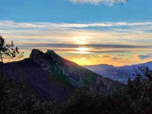 La Foto del Giorno (13 gen.)