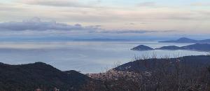 La Foto del Giorno (11 feb.)