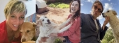 La cagnolina siciliana emigrata all'Elba