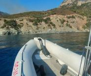 L'incendio boschivo a Pomonte, la Guardia Costiera in supporto alle operazioni dei Vigili del Fuoco