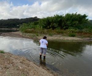 I dati elbani di Goletta Verde sull&#039;inquinamento, le considerazioni di Legambiente Arcipelago Toscano