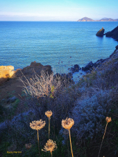 La Foto del Giorno (25 dic.)