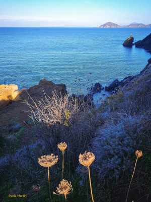 La Foto del Giorno (25 dic.)