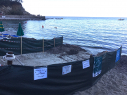 Le corse delle tartarughe di Sant’Andrea e quelle dell’Amministrazione Comunale