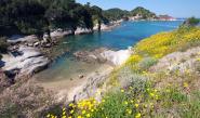 Malore in acqua al largo della spiaggia del Cotoncello: muore elbano di 84 anni