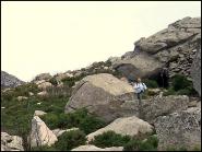 Fausto Carpinacci e l’amore per l’Elba: una vita tra storia, granito e tradizioni