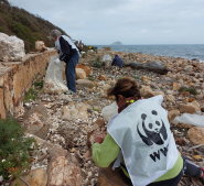 'Una spiaggia di polistirolo', pulizia straordinaria della spiaggia di Topinetti