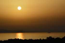 La Foto del Giorno (26 mag.)