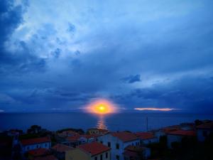 La Foto del Giorno (23 nov.)