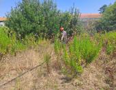 Incendio di sterpaglie in Via Val di Denari a Portoferraio