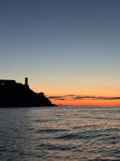 La Foto del Giorno (14 lug.)