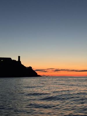 La Foto del Giorno (14 lug.)