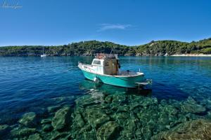 La Foto del Giorno (27 gen.)