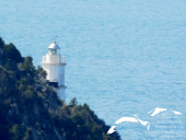 La Foto del Giorno (5 apr.)