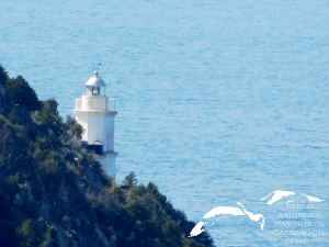 La Foto del Giorno (5 apr.)