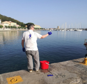 Moletto marinese - conferma Goletta - ora mare "pulito". Il Comune: Primi risultati del collaborare con ASA