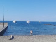 Ormeggi e transiti (legittimi?) sottocosta e cani in spiaggia