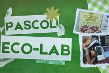 Quando la pioggia diventa una risorsa preziosa: la missione del Progetto “Pascoli Ecolab”