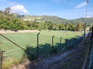 Rio: l'assessore Guerrini risponde al Comitato 2.6 sul futuro dello stadio