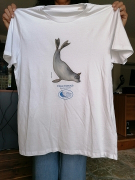 L'omaggio del Parco alla foca monaca (Monachus monachus)