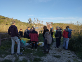 Come si mette a dimora un albero: la lezione dal vivo dall'arbicoltore Marco Rinaldi