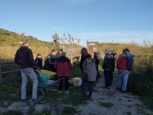 Come si mette a dimora un albero: la lezione dal vivo dall'arbicoltore Marco Rinaldi