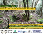 Un 25 Aprile nel cuore verde dell’Elba, tra farfalle, tassi, nivere e altre meraviglie