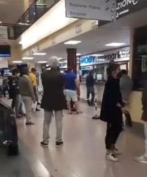 ELBA - Falchi (AVS): “Serve continuità del servizio di collegamento per famiglie e lavoratori”