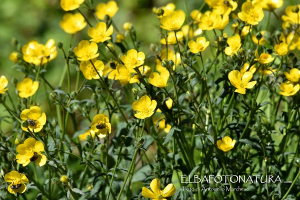 La Foto del Giorno (21 apr.)