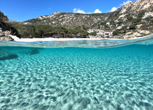 La Foto del Giorno (29 apr.)