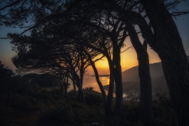 La Foto del Giorno (1° mar.)