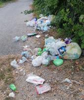 Raccolta rifiuti: per contrastare fenomeni di randagismo rispettare orario di esposizione e utilizzare bidoni supplementari