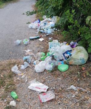 Raccolta rifiuti: per contrastare fenomeni di randagismo rispettare orario di esposizione e utilizzare bidoni supplementari