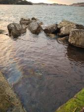 Una vasta chiazza di idrocarburi sta spiaggiando a Schiopparello
