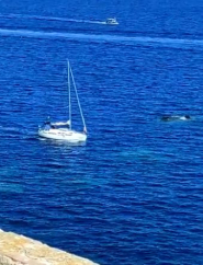 Video: yacht urta il bassofondale roccioso ai Deux Frères di Portoferraio