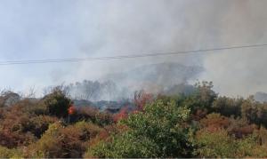 Dopo l&#039;incendio a Pomonte, il ringraziamento del Sindaco alle squadre antincendio intervenute